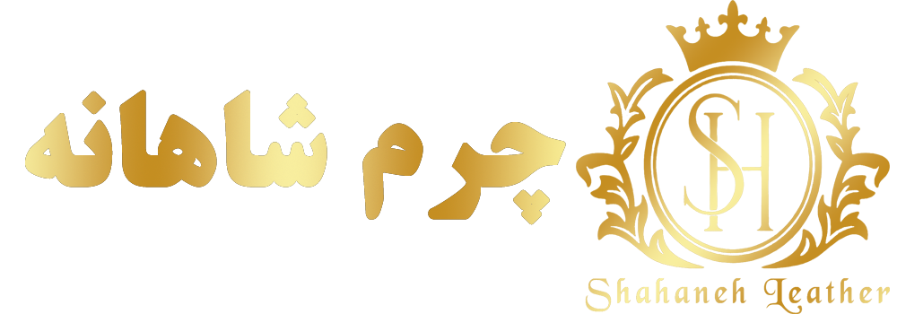 صفحه اصلی